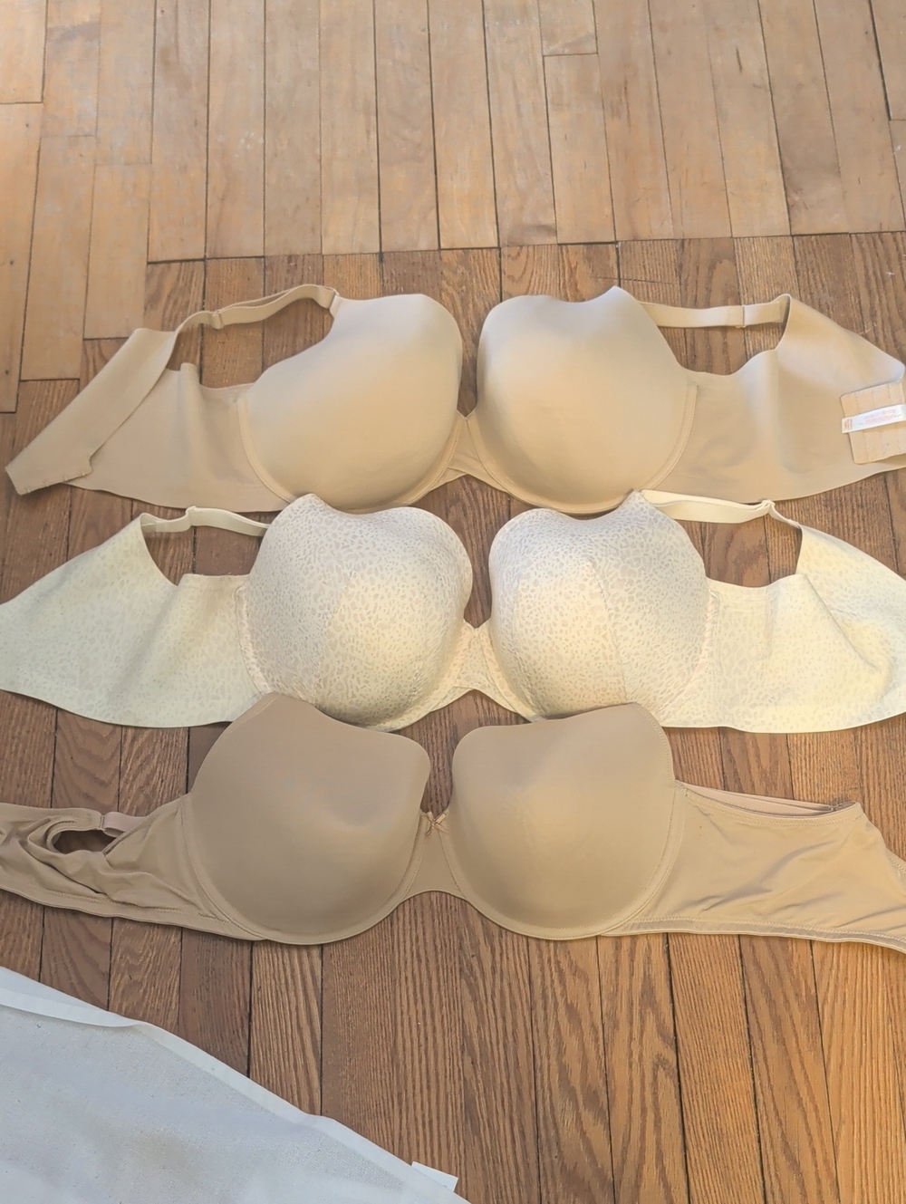 Lot of 3 Cacique 44 DDD BRAS.   EXCELLENT NEW CONDITION